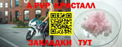 крисы Гагарин
